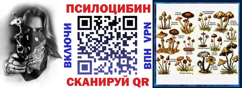 Купить  Лермонтов  Псилоцибиновые грибы Psilocybine cubensis 
